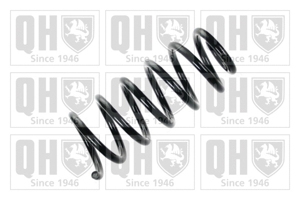 Suspension Spring (QCS6032)