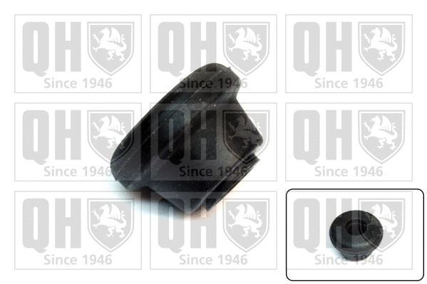 Mounting, control/trailing arm (EMS8272)