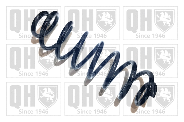 Suspension Spring (QCS6670)