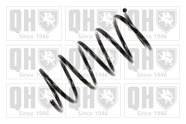 Suspension Spring (QCS8077)
