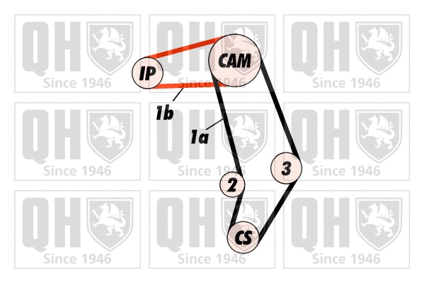 Timing Belt Kit (QBK442)