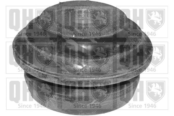 Mounting, control/trailing arm (EMS8107)