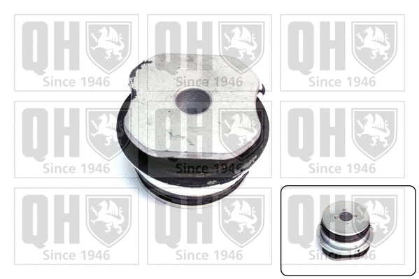 Mounting, control/trailing arm (EM3083)