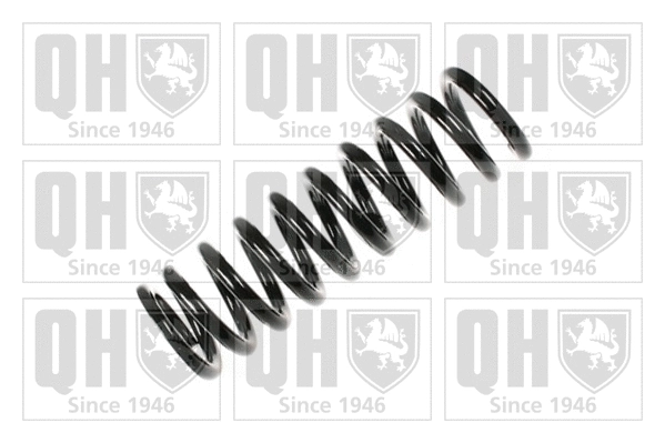 Suspension Spring (QCS6957)