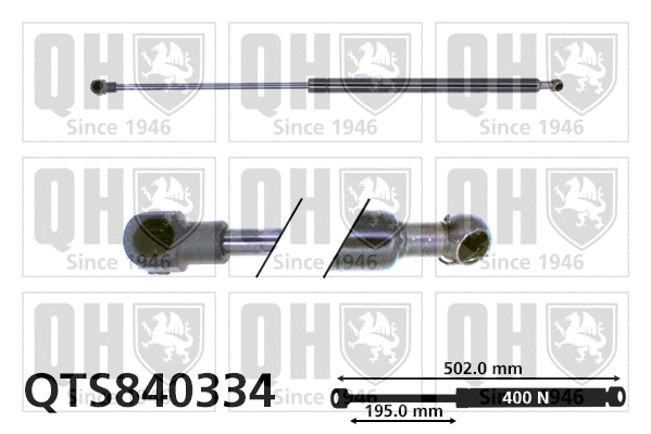 Gas Spring, rear window (QTS840334)