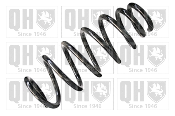 Suspension Spring (QCS7386)