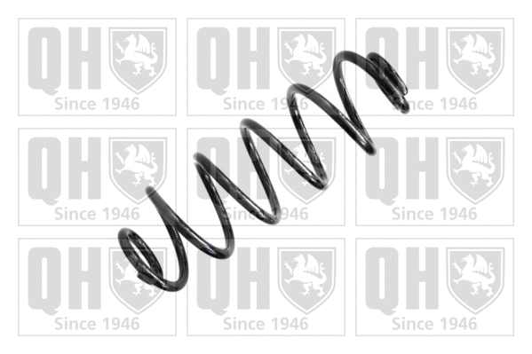 Suspension Spring (QCS6284)