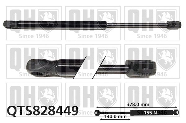 Gas Spring, bonnet (QTS828449)