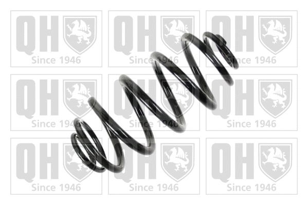 Suspension Spring (QCS6441)