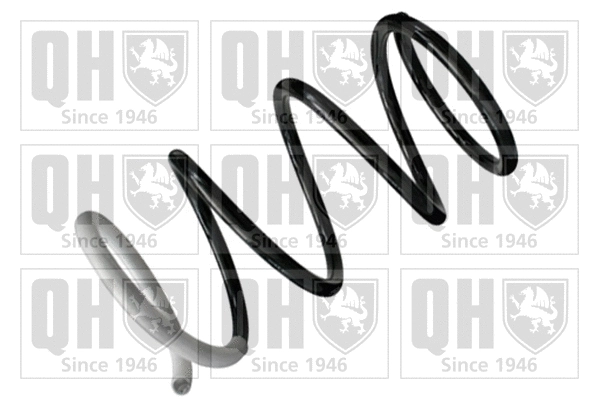 Suspension Spring (QCS7542)