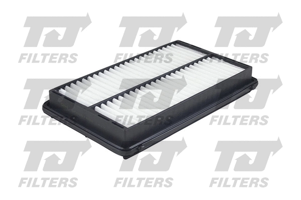 Air Filter (QFA0874)
