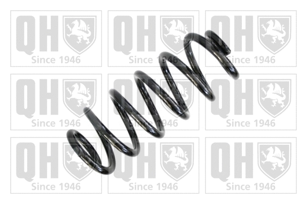 Suspension Spring (QCS5746)
