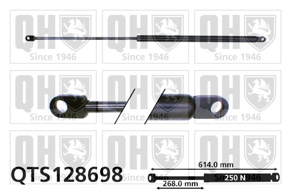 Gas Spring, bonnet (QTS128698)