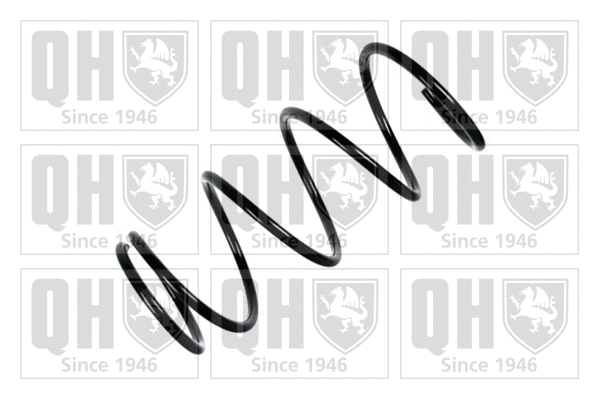 Suspension Spring (QCS6784)