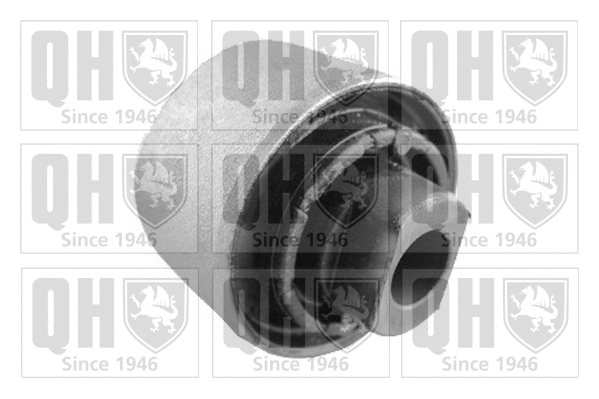 Mounting, control/trailing arm (EMS8233)