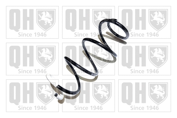 Suspension Spring (QCS8142)