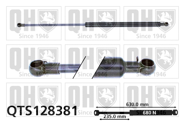 Gas Spring, boot/cargo area (QTS128381)