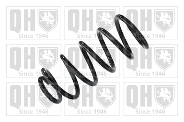 Suspension Spring (QCS8619)
