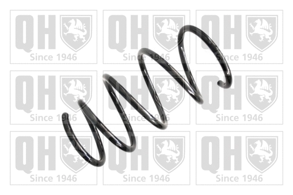 Suspension Spring (QCS7202)