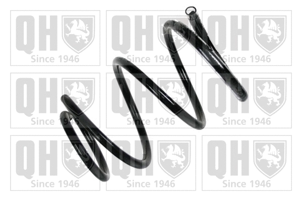 Suspension Spring (QCS6283)