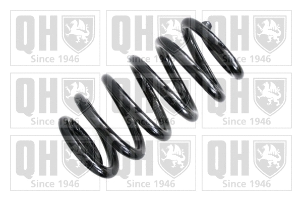 Suspension Spring (QCS5058)