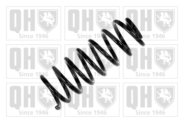 Suspension Spring (QCS6582)