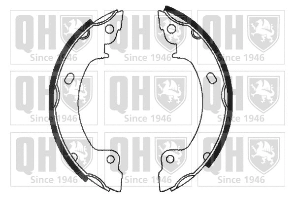 Brake Shoe Set (BS879)