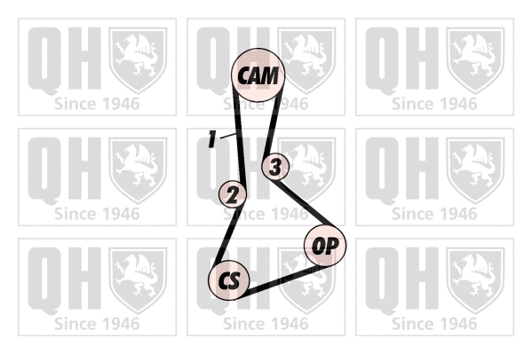 Timing Belt Kit (QBK365)