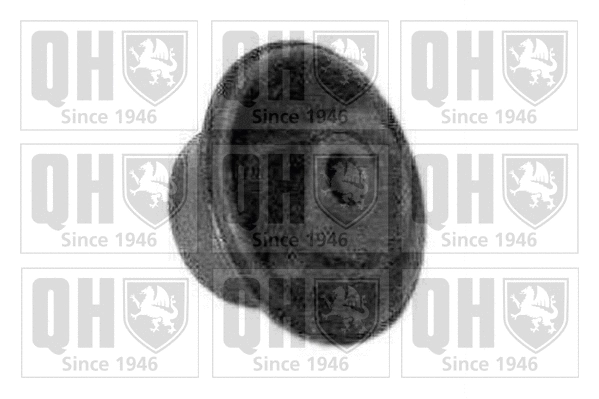 Mounting, control/trailing arm (EMS2433)