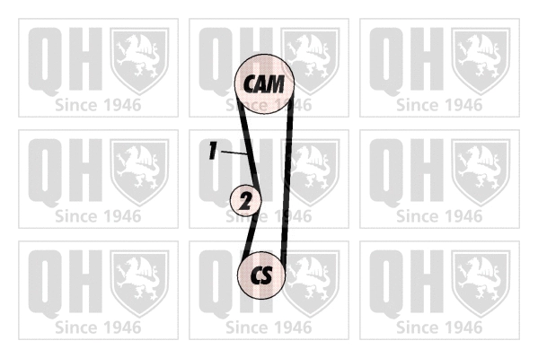 Timing Belt Kit (QBK530)