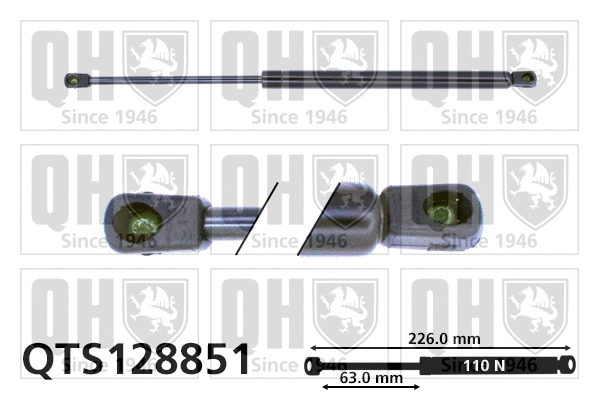 Gas Spring, boot/cargo area (QTS128851)