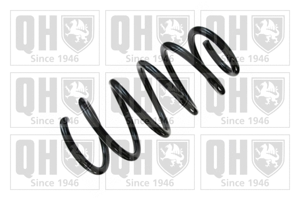 Suspension Spring (QCS6418)