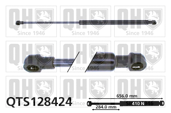 Gas Spring, boot/cargo area (QTS128424)