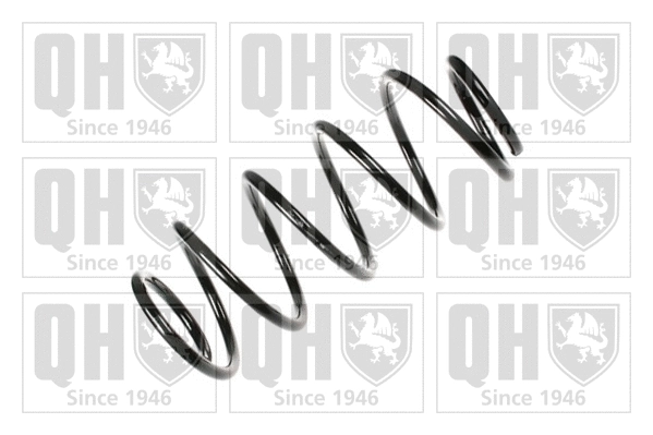 Suspension Spring (QCS5165)