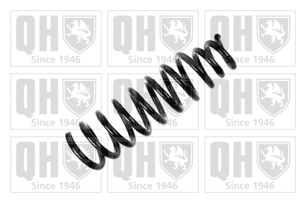 Suspension Spring (QCS6496)