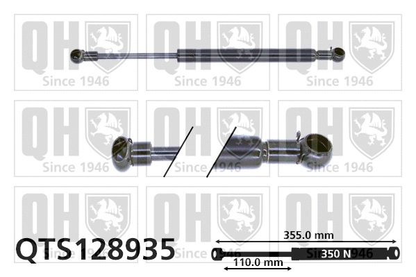 Gas Spring, bonnet (QTS128935)