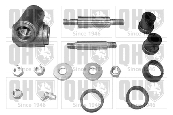 Repair Kit, wheel suspension (QSK13LH)