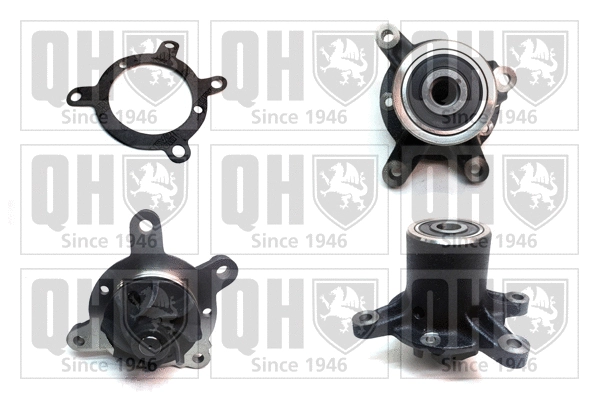 Water Pump, engine cooling (QCP2820)