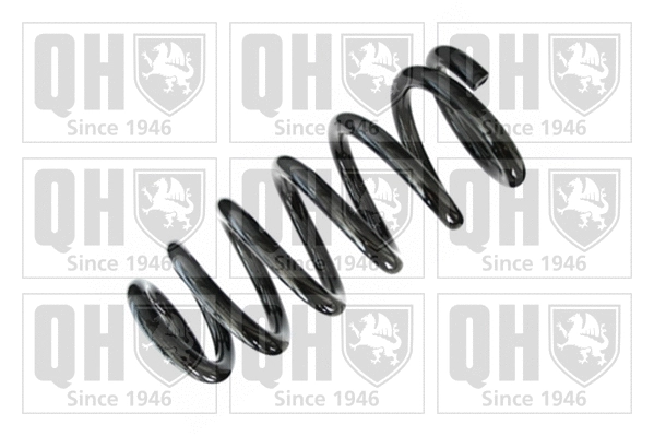 Suspension Spring (QCS6509)