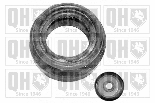 Repair Kit, suspension strut support mount (EMA1840)