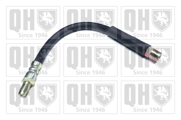 Brake Hose (BFH4923)