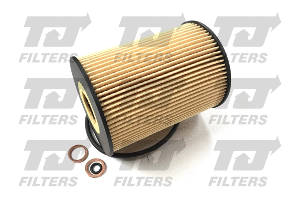 Oil Filter (QFL0360)