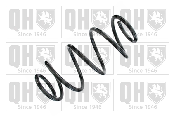 Suspension Spring (QCS8606)