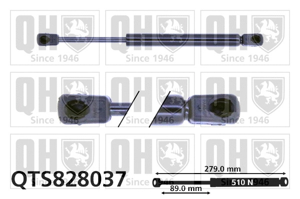 Gas Spring, boot/cargo area (QTS828037)