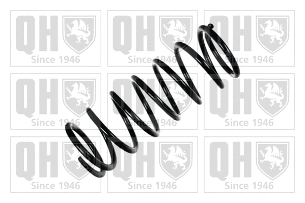 Suspension Spring (QCS6717)