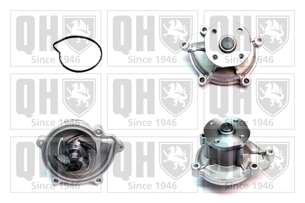 Water Pump, engine cooling (QCP3624)