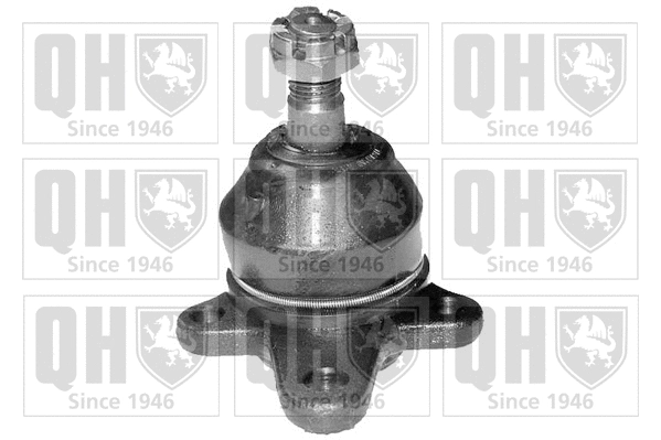 Ball Joint (QSJ779S)