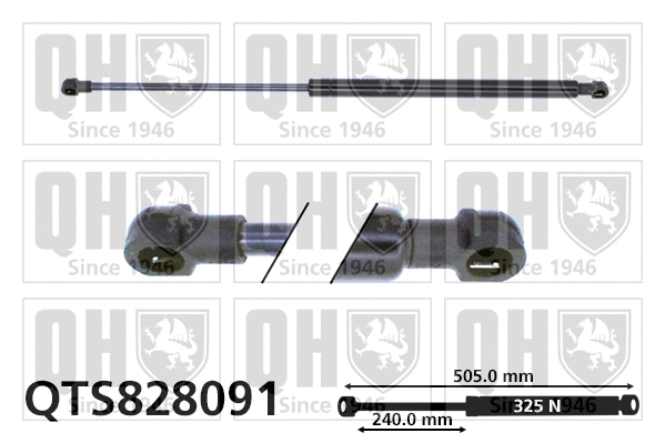 Gas Spring, boot/cargo area (QTS828091)