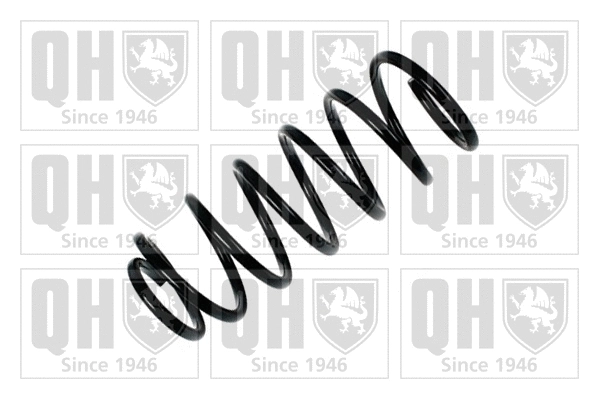 Suspension Spring (QCS5292)