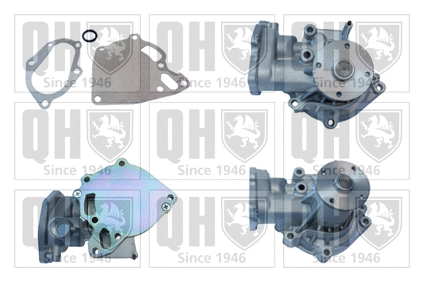 Water Pump, engine cooling (QCP3810)